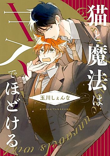 Cover image for Cats And Magic Unravel With A Kiss