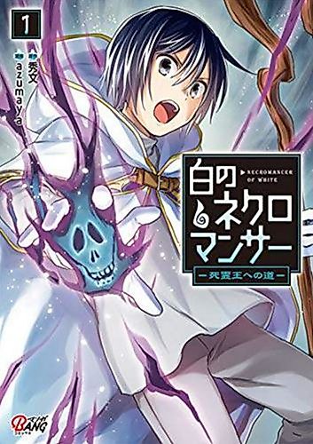 Cover image for The White Necromancer: Road to the Spirit King