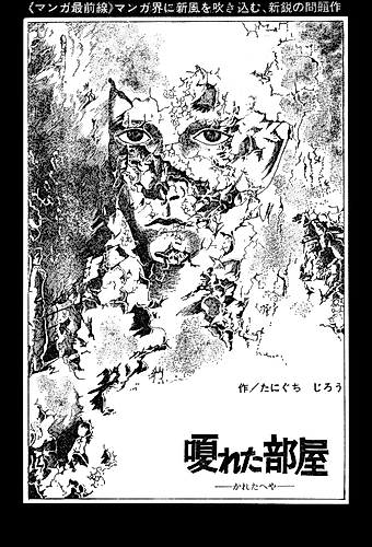 Cover image for The Hoarse Room