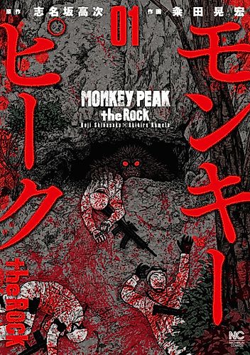 Cover image for Monkey Peak