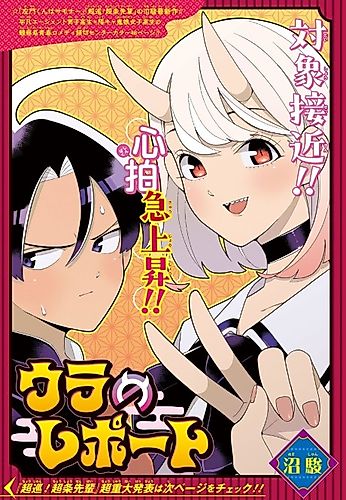 Cover image for Behind the Scenes Report