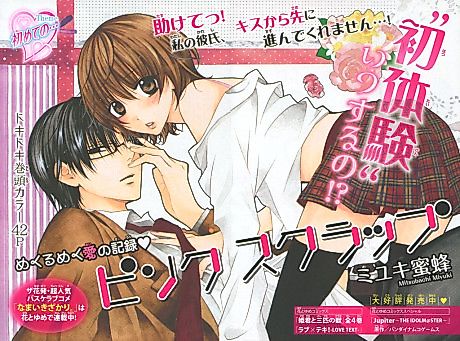 Cover image for PINKSCRAP
