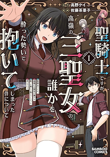 Cover image for Seikishi desuga, Takane no San Seijo no Dareka o Yotta Ikioi de Daiteshimatta Ken ni tsuite