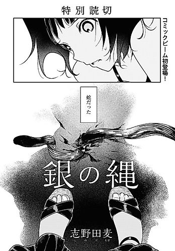 Cover image for Gin no Nawa