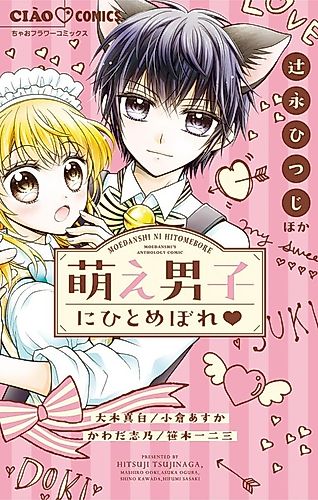 Cover image for Moe Danshi ni Hitomebore