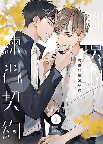 Cover image for Touch Practice