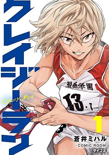 Cover image for Crazy Run