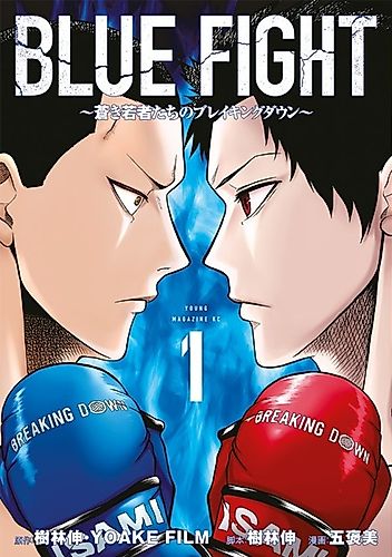 Cover image for Blue Fight
