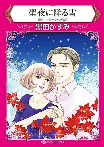Cover image for A Daughter for Christmas