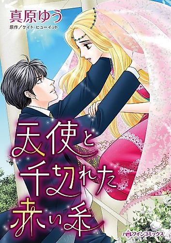 Cover image for Princess's Nine-Month Secret