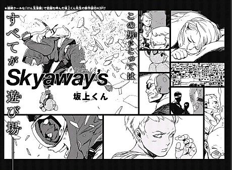 Cover image for Skyaway's