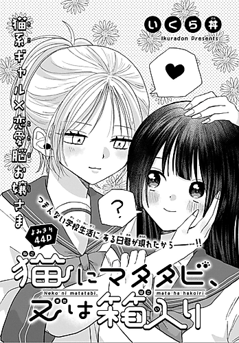 Cover image for Neko ni Matatabi, Mata wa Hakoiri