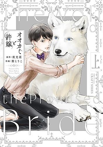 Cover image for The Wolf and the Promised Bride