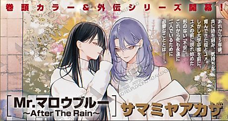 Cover image for Mr. Mallow Blue: After The Rain