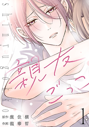 Cover image for Shinyuu Gokko