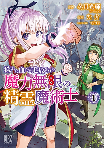 Cover image for The Spirit Mage with Infinite Magical Power, Exiled for "Impure Blood"