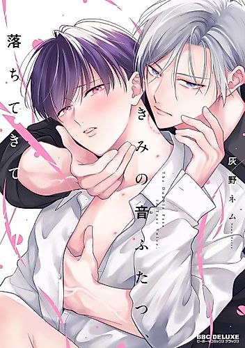 Cover image for The Double Fate in Your Voice.
