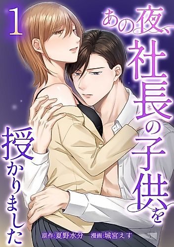 Cover image for The Night I Got Pregnant by the CEO