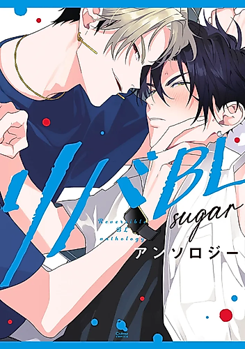 Cover image for Reversible BL Anthology