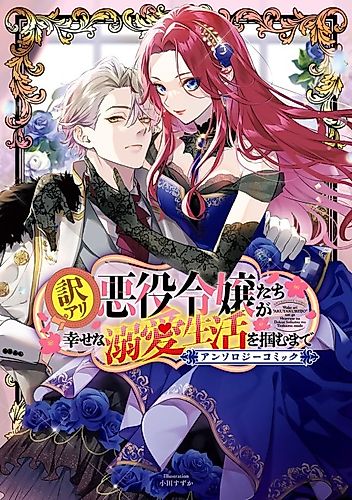 Cover image for The Shadow Ladies' Journey to Happiness