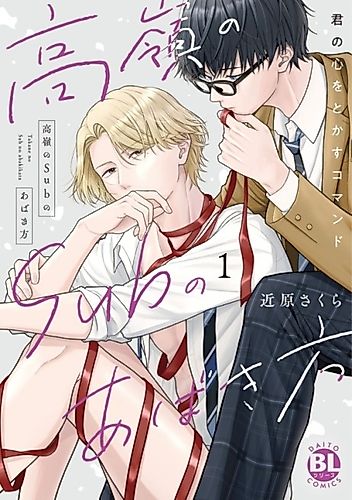 Cover image for Takane no Sub no Abaki-kata: Kimi no Kokoro wo Tokasu Command