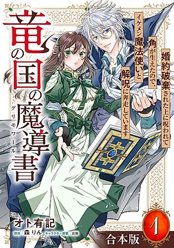 Cover image for Ryuu no Kuni no Madousho: Konyaku Haki Sareta Ue ni Norowarete Tsuno ga Haetanode, Ikemen Mahoutsukai to Kaiju ni Honsou Shiteimasu