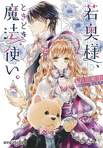 Cover image for Waka Oku-sama, Tokidoki Mahoutsukai.