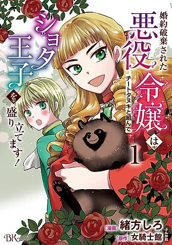 Cover image for The Tanuki, The Villainess And The Reincarnation