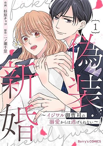 Cover image for Fake Newlywed