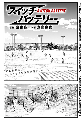 Cover image for Switch Battery