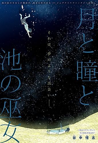 Cover image for The Moon, the Eyes, and the Shrine Maiden of the Lake