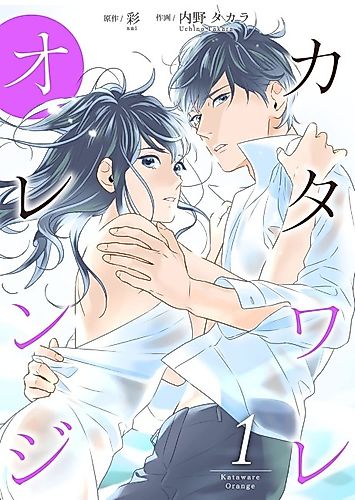 Cover image for Media Naranja: My Other Half