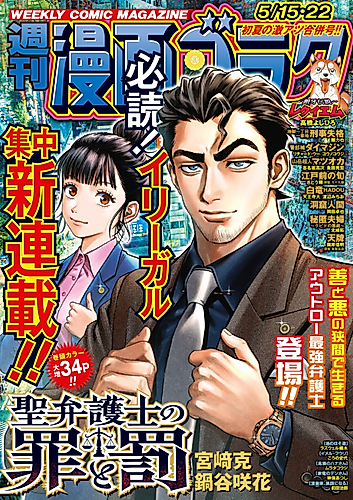 Cover image for Sei Bengoshi no Tsumi to Batsu