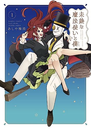 Cover image for Inexperienced Wizard and Servant
