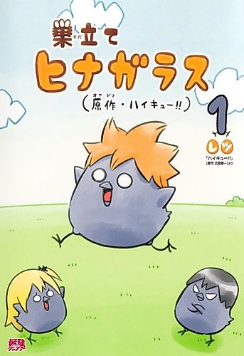 Cover image for Sudate Hinagarasu
