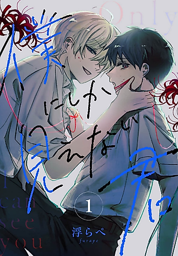 Cover image for Only I Can See You