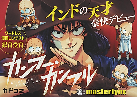 Cover image for Kung Fu Kung Fool