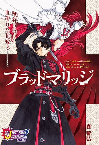 Cover image for Blood Marriage