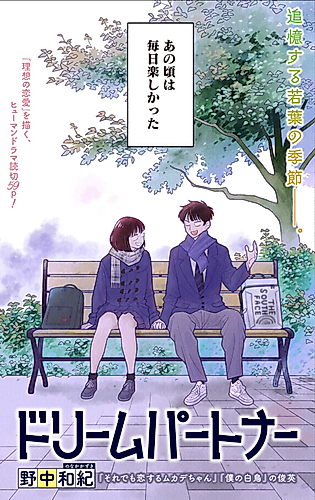 Cover image for Dream Partner