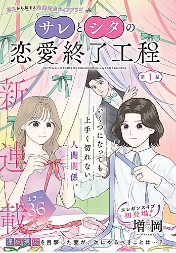 Cover image for The Process of Ending the Relationship Between Sare and Shita