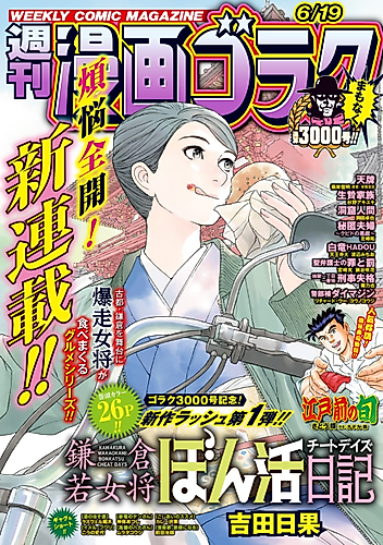 Cover image for Kamakura Wakaokami Bonkatsu Nikki