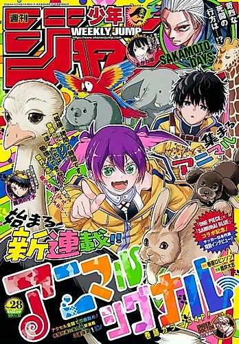 Cover image for Animal Signal
