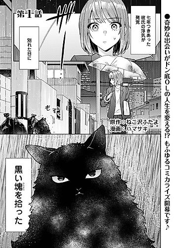 Cover image for I'm Not Sure If the Cat I Found Is Actually a Cat.