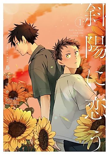 Cover image for Fall in Love with the Setting Sun