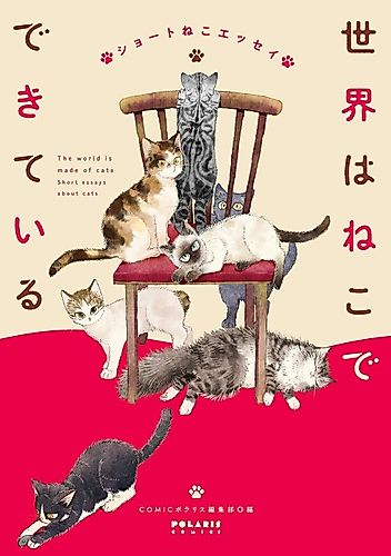 Cover image for The World is Made of Cats: Short Essays About Cats