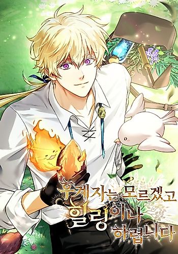 Cover image for Never Mind the Heir, I'll Focus On Healing