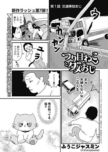 Cover image for Tsurime Neko to Dame Oji