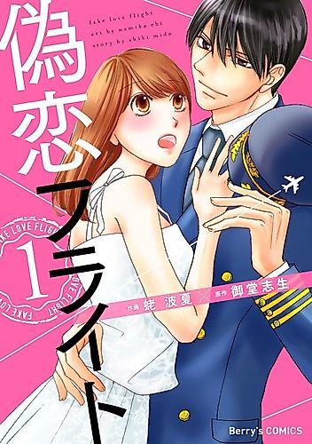 Cover image for Fake Love Flight