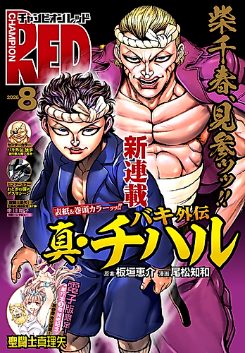 Cover image for Baki Gaiden: Shin Chiharu