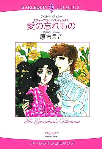Cover image for Forgotten Love (HARA Chieko)